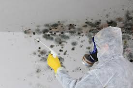 Best Residential Mold Inspection & Testing  in Cottonwood, ID